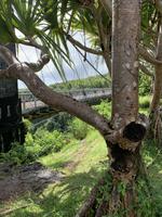 Älteste Hängebrücke der Welt