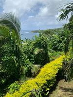 Kreolisches Mittagessen mit Meerblick ...
