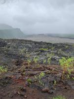 Erkaltete Lavaströme in der Region Grand Brulé