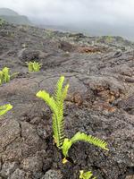 Erkaltete Lavaströme in der Region Grand Brulé