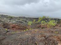 Erkaltete Lavaströme in der Region Grand Brulé