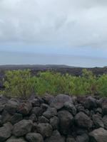 Erkaltete Lavaströme in der Region Grand Brulé