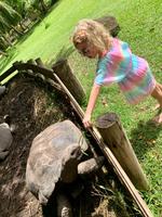 Riesenschildkröten  - Iles des Palmes Eco Resort