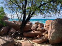 Typische Granitfelsen auf Praslin