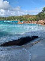 Anse Lazio - Traumstrand auf Praslin