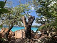 Anse Lazio - Traumstrand auf Praslin