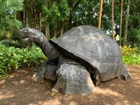 Botanischer Garten - Seychellen