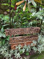 Botanischer Garten - Seychellen