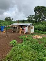Das Leben in Madagaskar