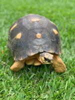 Hallo, Dich kenn ich doch!