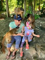 Lemureninsel - Madagaskar