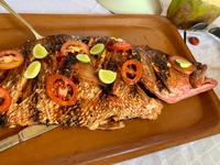 Fangfrischer Fisch auf Nosy Iranja