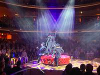 Mitreißende Shows im Theatrium