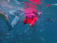 Schnorcheln im Indischen Ozean