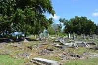 alter Friedhof auf La Digue