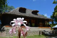altes Kolonialhaus auf La Digue (2)