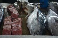 19 Fischmarkt