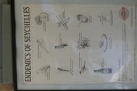 Jardin du Roi, siehe besonders unten links....