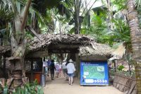 Praslin, Vaille de Mai (Palmenwald der Coco de Mer)