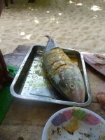 Fertig für den Grill