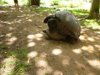 Sister Islands - Grande Soeur