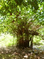 Sister Islands - Grande Soeur