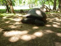 Sister Islands - Grande Soeur