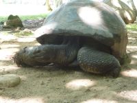 Sister Islands - Grande Soeur