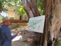 Unser Guide Cyril doziert