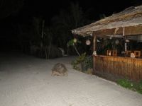 Letzter Abend La Digue