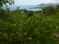 Aussicht auf Indischen Ocean