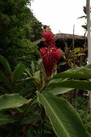 Botanischer Garten Mahe