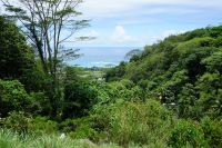 Blick vom Gewürzgarten