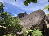 Lassen wir der Phantasie freien Lauf - Wal?