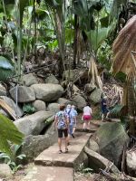 Felsen und Palmen von imposanter Größe 