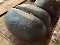 Coco de Mer zum Anfassen und Anheben
