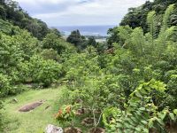 Blick über den Jardin du Roi