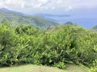 Blick zur Südspitze von Mahe‘