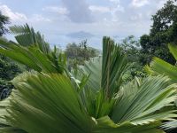 Blick auf Sainte Anne