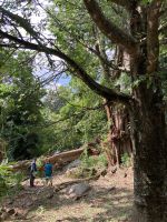 Regenzeit hat auch im Botanischen Garten zu Verlusten geführt.