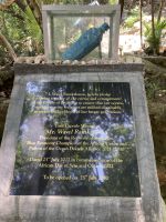 Eine Dekade für das Meer - Schutz der Ozeane