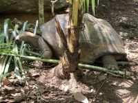 …..es findet sich immer etwas zu Fressen.