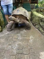 Platz da, ich komme!