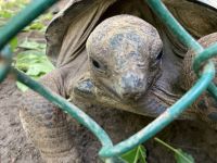Blick in die Aufzuchtsstation