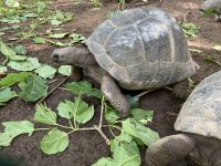 Und schon am zweiten Tag Nahkontakt ….