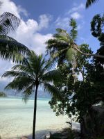 immer wieder schöne Ausblicke