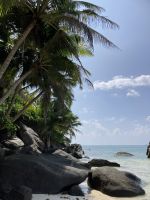 …ohne Photoshop! La Moyenne 