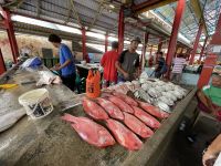 Victoria - Fisch&Gemüsemarkt