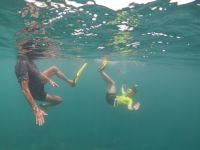 Saint-Anne Marine National Park - Schnorcheln