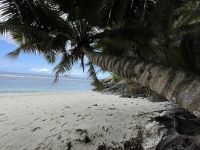 Rundgang auf Moyenne Island